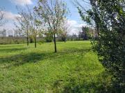 SAN EDUARDO E. Palacio 9400 SAN EDUARDO E. Palacio 9400