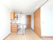 San Francisco 294 [762 1]