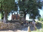 San Gimignano Siena 96322365