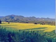 San Giovanni Maggiore 10 vani 550mq