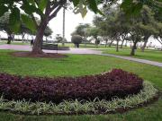 SAN ISIDRO ORRANTIA, PERA DEL AMOR VENDO CASA C/TERRENO...