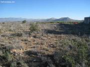 San Jose Inmobiliaria vende parcela rústica en Monforte...