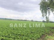 SAN JUAN DE LA VEGA: TERRENO AGRICOLA LISTO PARA TRABAJAR