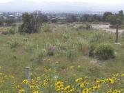 SAN JUAN TEOTIHUACÁN ZONA ARQUEOLÓGICA, TERRENO, VENTA,...