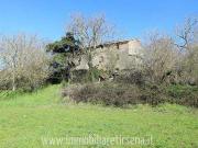 San Lorenzo Nuovo Lazio 96330786