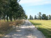 SAN MIGUEL OCTOPAN: EJIDO RANCHO NUEVO, TERRENO AGRICOLA...