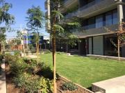 San Miguel, San miguel