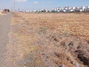 SAN MIGUEL TOTOCUTLAPILCO