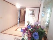 san patricio 145 mts clasico