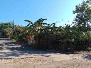 San Pedro Laguna Brgy. San Antonio 1,177 sqm. Lot