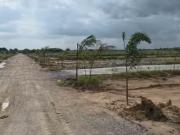 Sangareddy 150 Sq.Yd. Plot in Kandi Hyderabad
