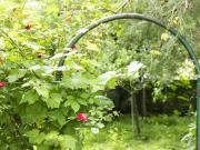 Sanierer aufgepasst! – Familienwohnung mit Gartentraum... Sanierer aufgepasst! – Familienwohnung mit Gartentraum...