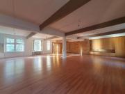 saniert + großzügig + hell Loft nahe U Bahnhof Birkenstraße