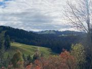 saniertes 3 FH bei Grünenbach – Vermietungsobjekt...