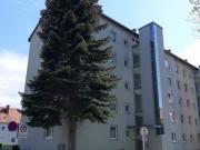 Lichtdurchflutete 1 Zimmer Wohnung mit optimaler...