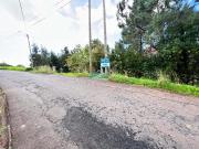 Santa Cruz Ilha da Madeira 56931623