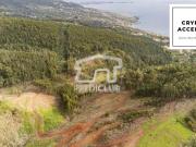 Santa Cruz Ilha da Madeira 87210619