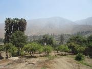 SANTA EULALIA SE VENDE TERRENO URBANO/RURAL EN... SANTA EULALIA SE VENDE TERRENO URBANO/RURAL EN...