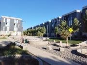 SANTA TERESA SAN JUAN DE DIOS