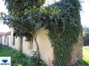 Santarém Ferreira do Zêzere 2240 98918454