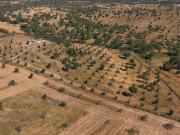 Santiago do Cacém Setúbal 97233126