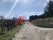 Santo Tirso Porto 4795 226 81825098