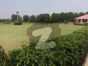Sarfrazhamid Properties Offers 08 Marla Residential Plot...