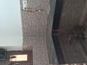 Sarita Vihar Rwa Pocket M &n 1.5 Bedroom 600 Sq. Ft....