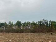 Sarjapur Residential Plot For Sale Bangalore