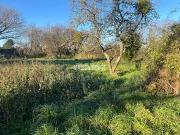 Sarzeau 56370 Achat / Vente terrain