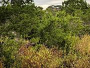 Saskatchewan Dr, Austin, Plot For Sale