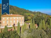 Sassetta Livorno 96317103