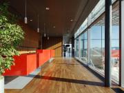 Moderne Büros mit Weitblick SATURN TOWER