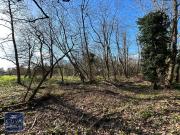 Saumur Vente Terrain 49