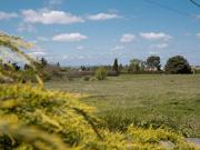 Sauvian Vente Terrain 34
