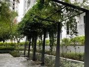 Savio @ Riana Dutamas, Segambut