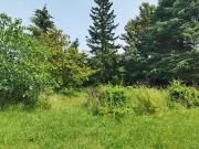 Savonnières 37510 Programme neuf terrain neuf à vendre