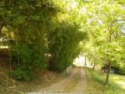 Scarperia vendesi azienda agricola 15 vani 290 Mq