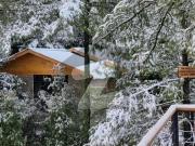 Scenic Cottages in Murree's Prime Location New Murree
