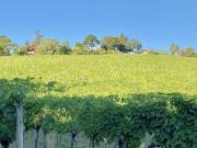 SCHAFBERG SONNENDURCHFLUTETE DACHGESCHOSSWOHNUNG MIT...