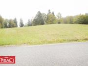 Schafzucht, Pferdezucht,schöne, große...