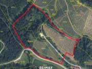 Scheibengrundstück mit Altbestand in Kranach, Gemeinde...