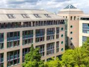 Schicke Bürofläche im Orleanskarree