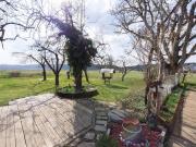 Schnäppchen mit Top Preis Leistungs Verhältnis und...