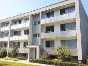 Schöne 3.5 Zimmerwohnung in gepflegtem Quartier | dreamo. Ch