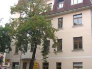 Schöne 3 Raum Wohnung in Zwickau Pölbitz