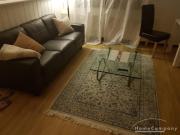 Schöne 3 Zimmer Wohnung in Tegel, möbliert