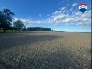 >>> Kaufanbote liegen vor !     Schöne...