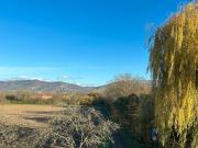 Schöne Dachgeschosswohnung. 4 ZKB mit Kamin, Lodgia, EBK