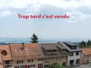 Schöne Ferienwohnung mit See und Alpenblick